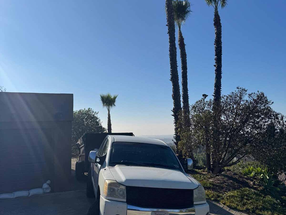 Quetzalito Tree Service